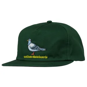 Anti Hero - Lil Pigeon Snapback Forest Green