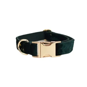 Celestial Elegance: Personalized Bow Collar, Leash