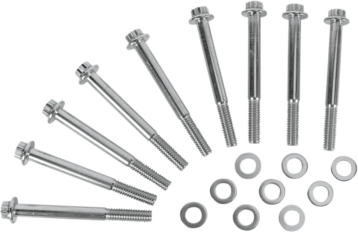 Diamond Engineering PB518S Crankcase 12-Point Polished Stainless Engine Bolt Kit