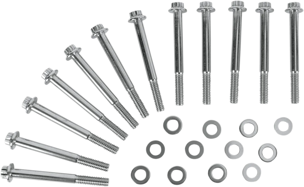 Diamond Engineering PB520S Crankcase 12-Point Polished Stainless Engine Bolt Kit