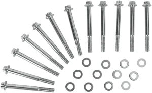 Diamond Engineering PB520S Crankcase 12-Point Polished Stainless Engine Bolt Kit