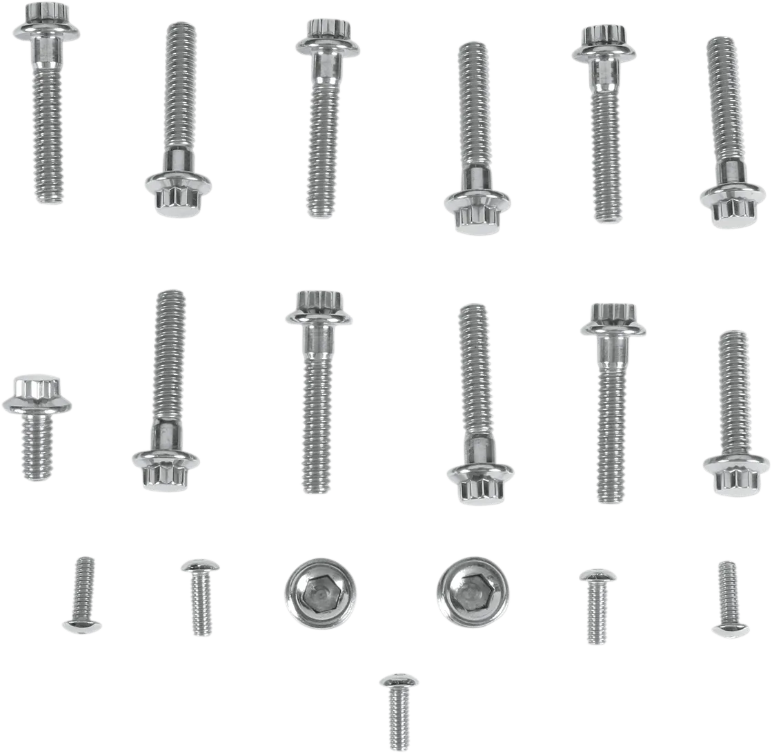 Diamond Engineering PB521S Cam and Point Cover 12-Point Polished Stainless Engine Bolt Kit