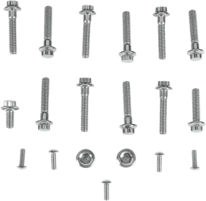 Diamond Engineering PB521S Cam and Point Cover 12-Point Polished Stainless Engine Bolt Kit