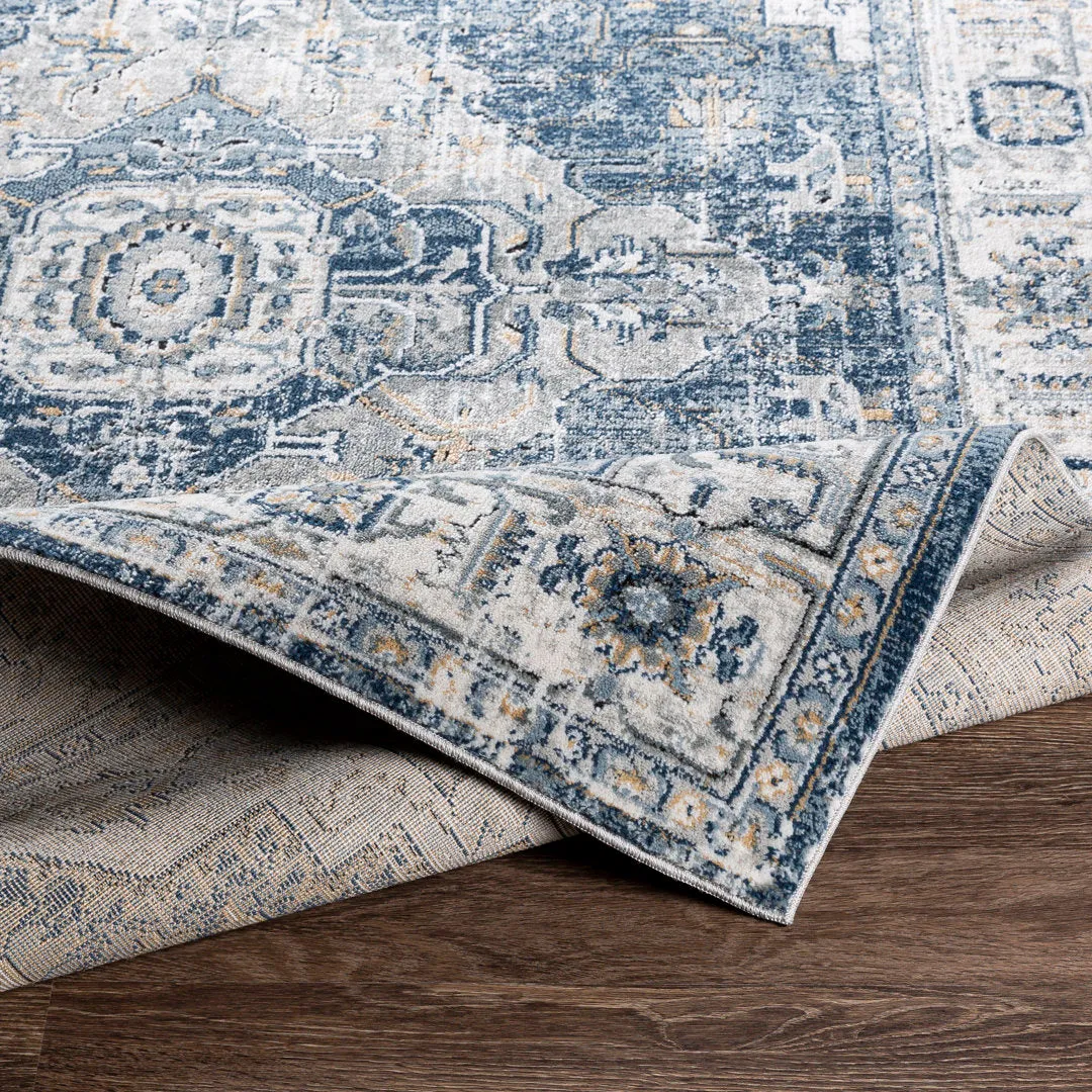 Doyon Oriental Gray/Blue Area Rug Langley Street® Rug Size: Rectangle 9' x 12'
