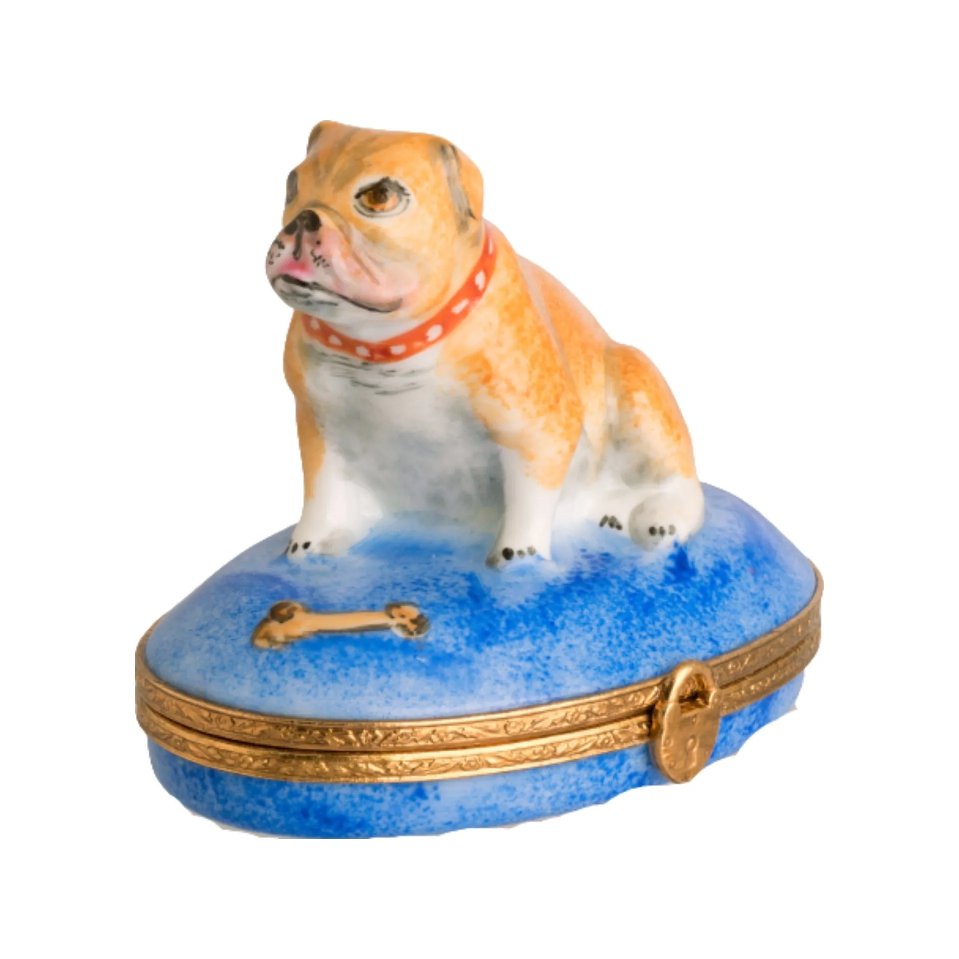 English Bulldog