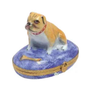 English Bulldog
