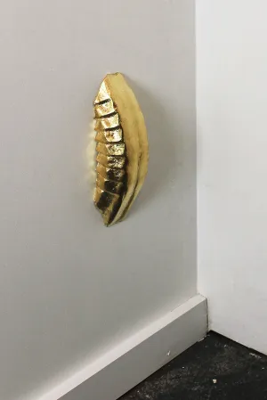 Exoskeleton Molding