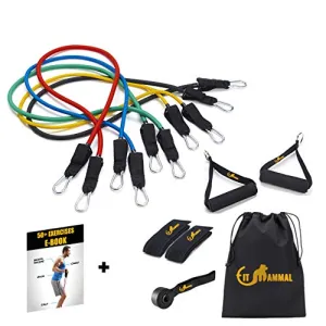 Fit Mammal Resistance Band Set- Warranty for Life- Resistance Bands for Workout for Men & Women- Heavy Resistance Tube & Stretch Band for Exercise- 50  Exercise Bands E-Book