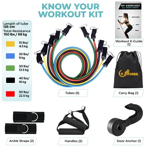 Fit Mammal Resistance Band Set- Warranty for Life- Resistance Bands for Workout for Men & Women- Heavy Resistance Tube & Stretch Band for Exercise- 50  Exercise Bands E-Book
