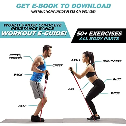 Fit Mammal Resistance Band Set- Warranty for Life- Resistance Bands for Workout for Men & Women- Heavy Resistance Tube & Stretch Band for Exercise- 50  Exercise Bands E-Book