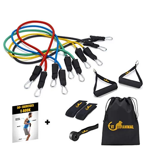 Fit Mammal Resistance Band Set- Warranty for Life- Resistance Bands for Workout for Men & Women- Heavy Resistance Tube & Stretch Band for Exercise- 50  Exercise Bands E-Book