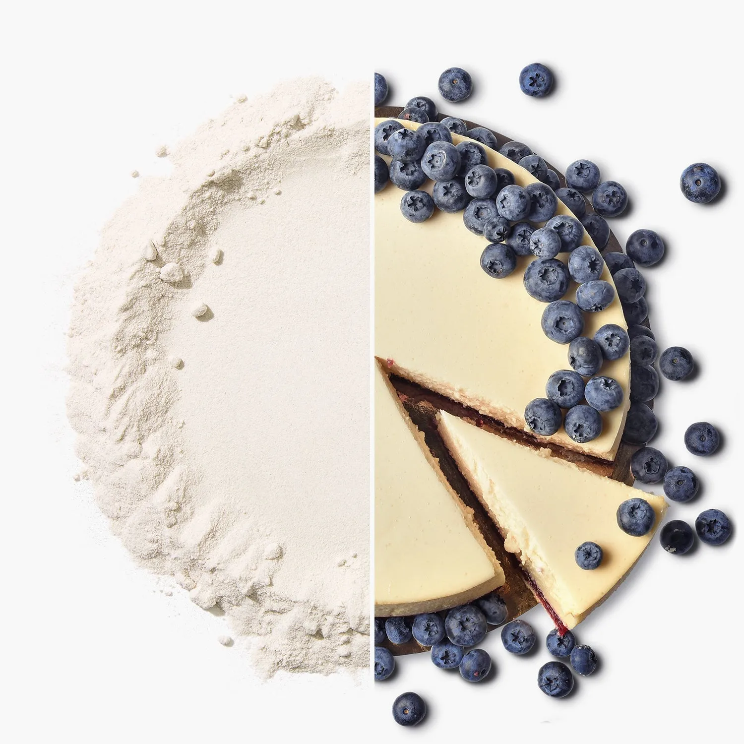Fit Pro Whey Protein