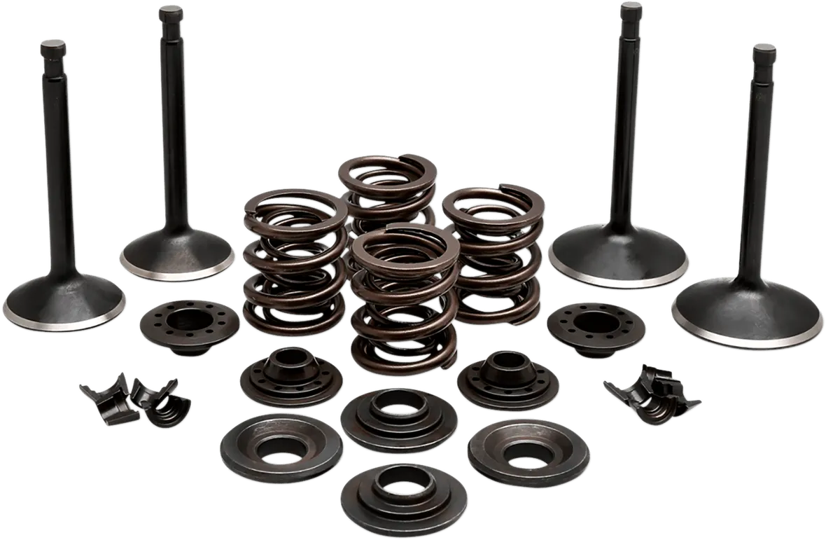 Kibblewhite Precision 20-22650 Engine Valve Kit