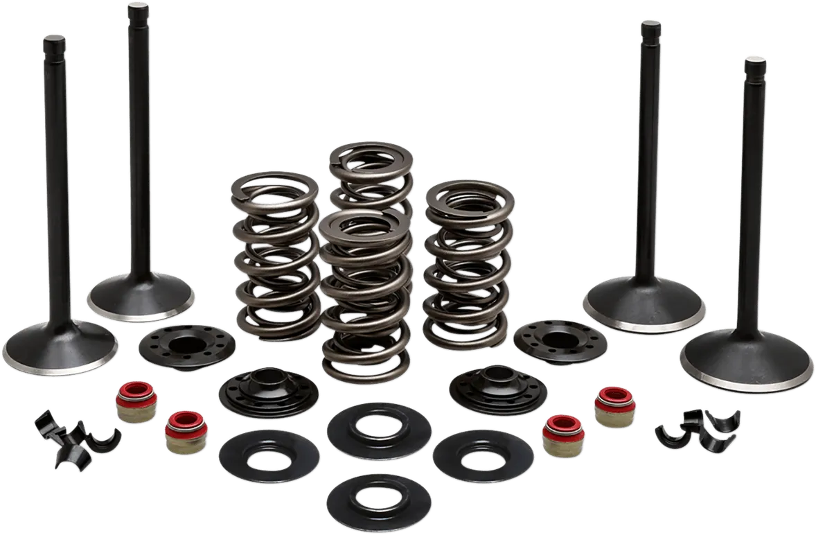 Kibblewhite Precision 20-23050 Engine Valve Kit