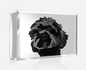 Pet Portrait on Crystal Photo Block | Custom Hand-Drawn Pet Portrait in Cartoon-Realism Style