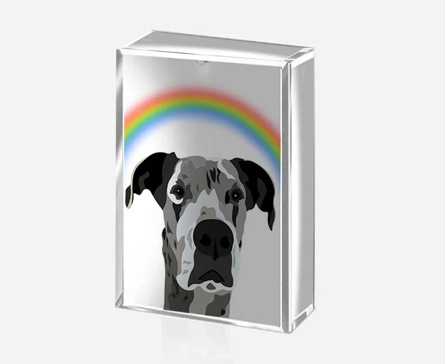 Pet Portrait on Crystal Photo Block | Custom Hand-Drawn Pet Portrait in Cartoon-Realism Style