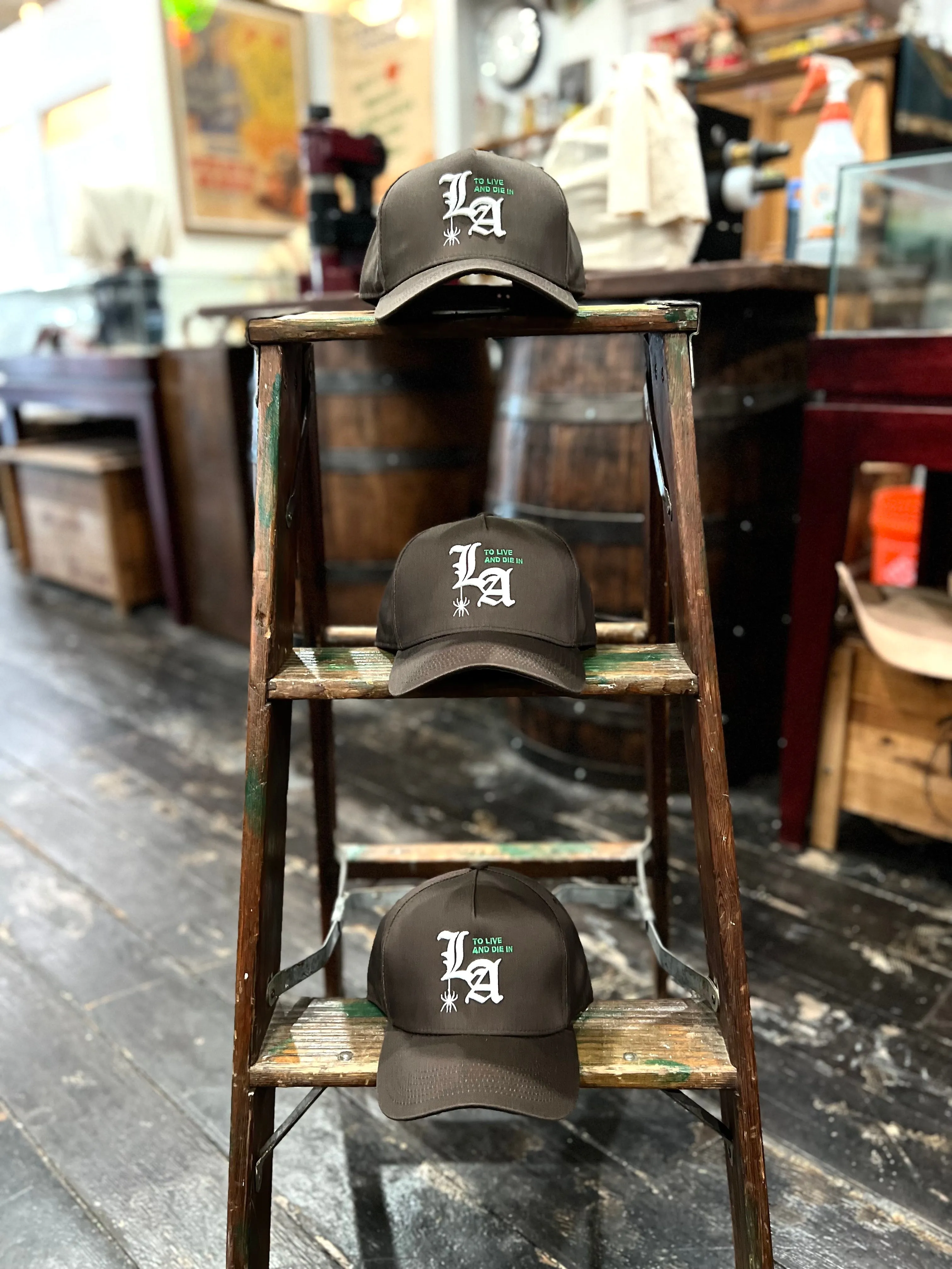 To live and Die in LA 5 Panel Snap Back Cap in Brown
