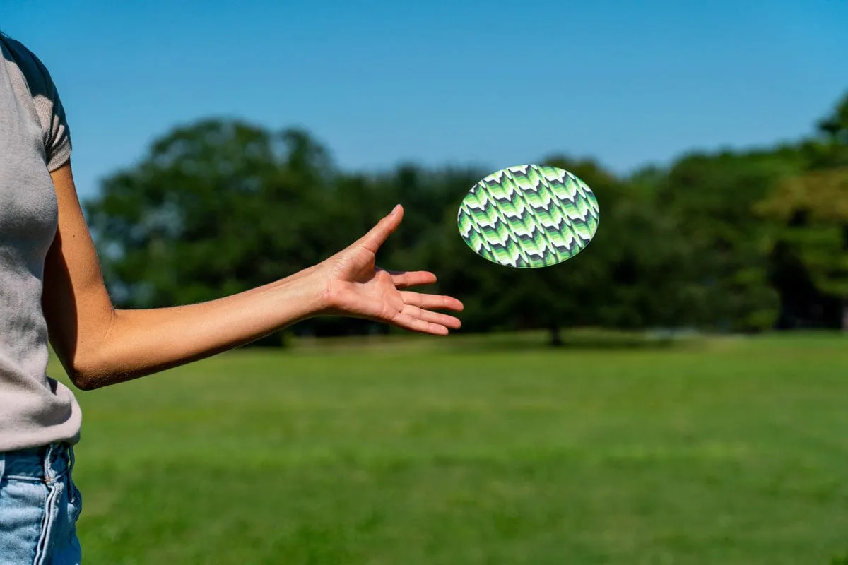 Waboba Wingman Disc